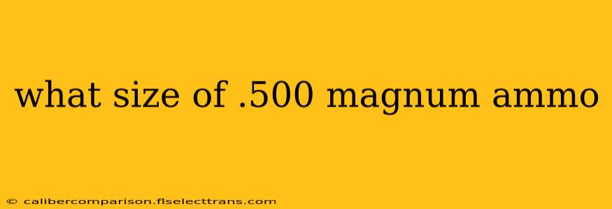 what size of .500 magnum ammo