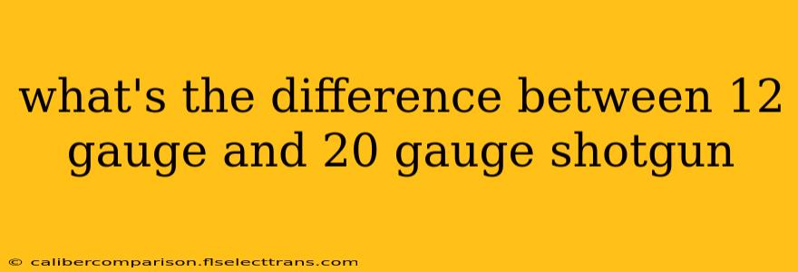 what's the difference between 12 gauge and 20 gauge shotgun