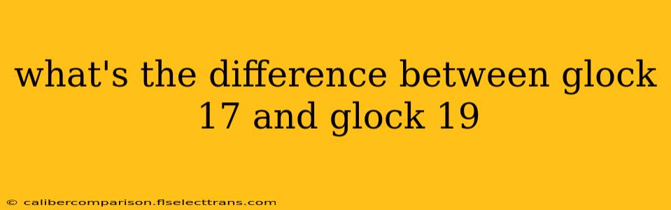 what's the difference between glock 17 and glock 19