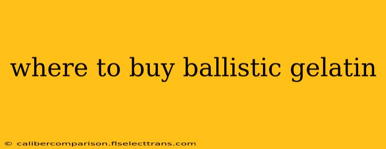 where to buy ballistic gelatin