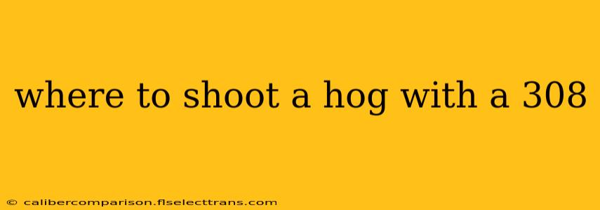 where to shoot a hog with a 308