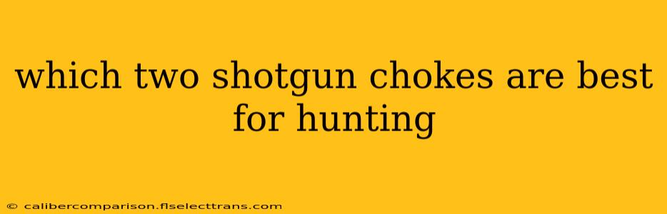 which two shotgun chokes are best for hunting