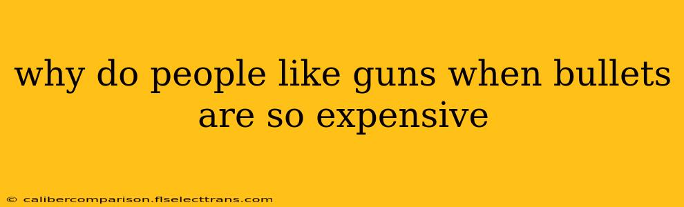 why do people like guns when bullets are so expensive