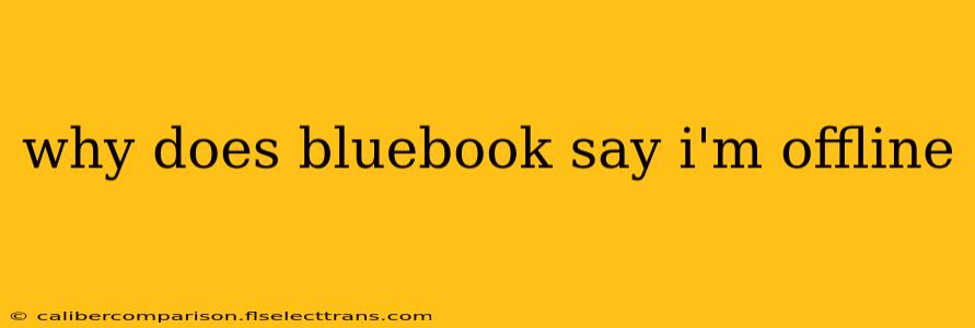 why does bluebook say i'm offline