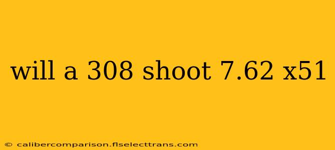 will a 308 shoot 7.62 x51