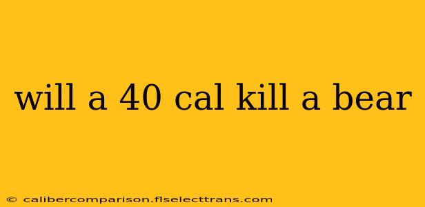 will a 40 cal kill a bear