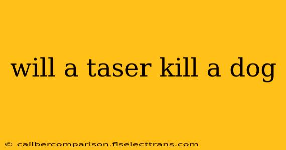 will a taser kill a dog