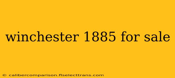 winchester 1885 for sale