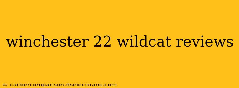 winchester 22 wildcat reviews