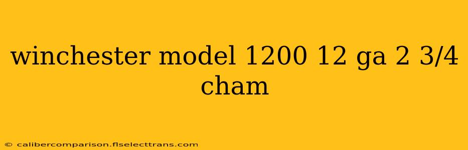 winchester model 1200 12 ga 2 3/4 cham