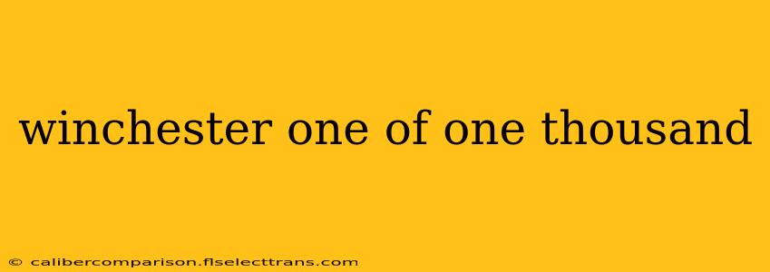 winchester one of one thousand