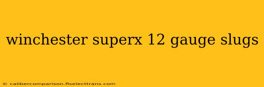 winchester superx 12 gauge slugs