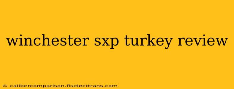 winchester sxp turkey review