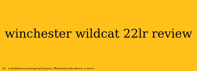 winchester wildcat 22lr review