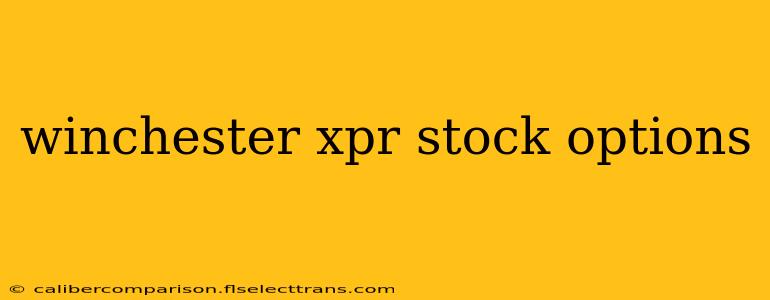 winchester xpr stock options