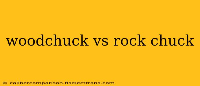 woodchuck vs rock chuck