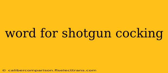 word for shotgun cocking