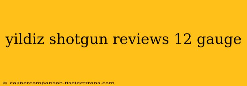 yildiz shotgun reviews 12 gauge